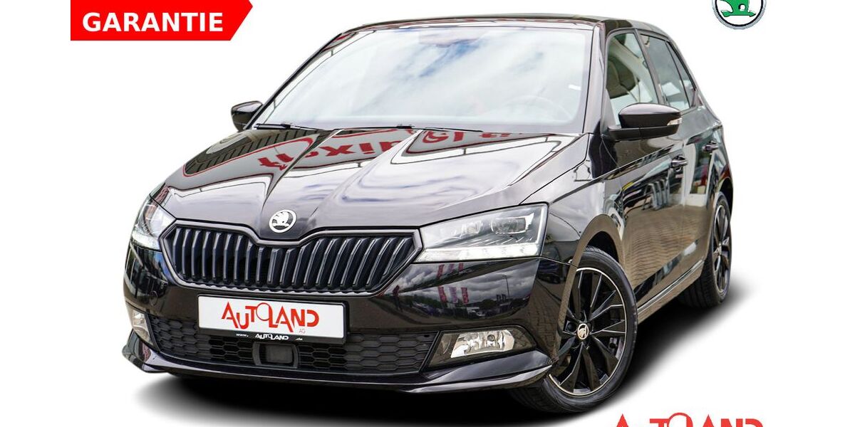 Skoda Fabia 65.924 km 16.950 &euro; Rostock 18146