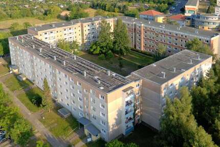 Wohnung Wolgast Wolgast Nord - 2 Zimmer, 44 m&sup2;, 289&euro; | Angebot:26755147