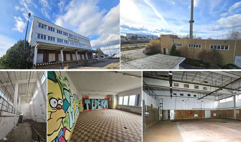 Halle in Altenburg 5.900 € 2930 m²