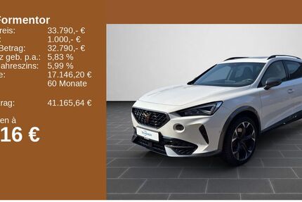 Cupra Formentor 63.823 km 33.790 &euro; Ludwigshafen 67063