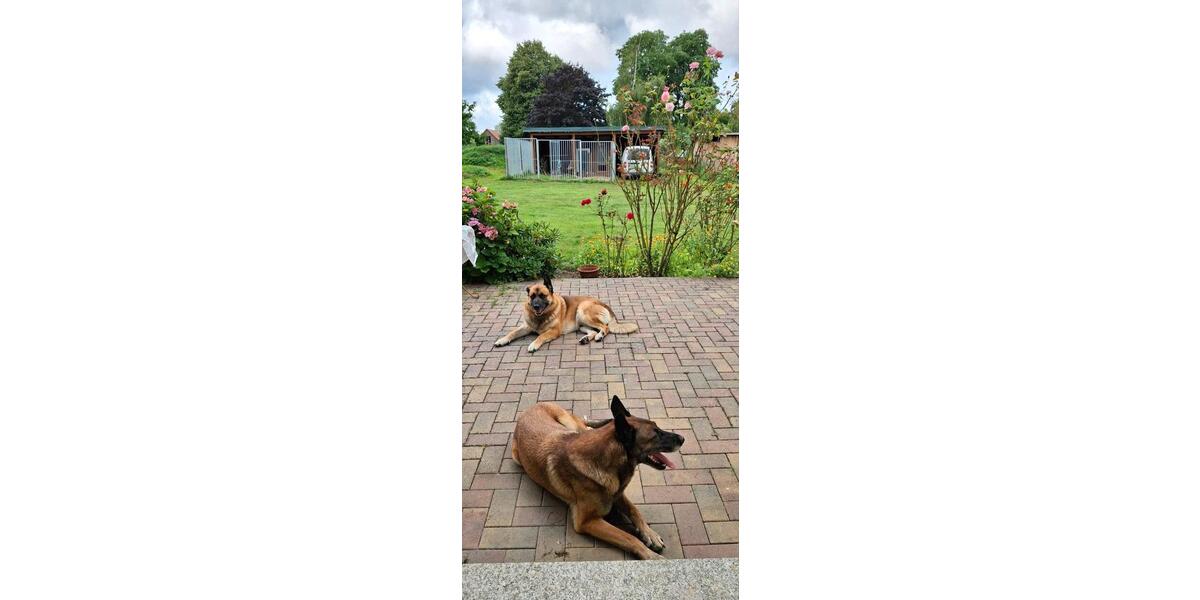 Einfamilienhaus Jördenstorf - 4 Zimmer, 105 m&sup2;, 259.000&euro; | Angebot:26803300