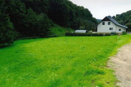 Grundstück Floh-Seligenthal Kleinschmalkalden - 8.000&euro; | Angebot:25727683