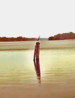 Etagenwohnung Storkow (Mark) - 4 Zimmer, 110 m&sup2;, 1.250&euro; | Angebot:25332208