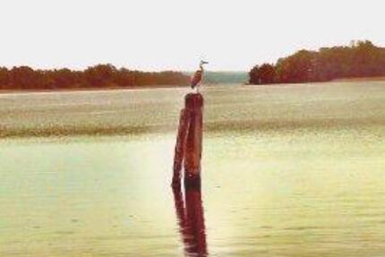 Wohnung Storkow (Mark) - 4 Zimmer, 110 m&sup2;, 1.250&euro; | Angebot:25332208