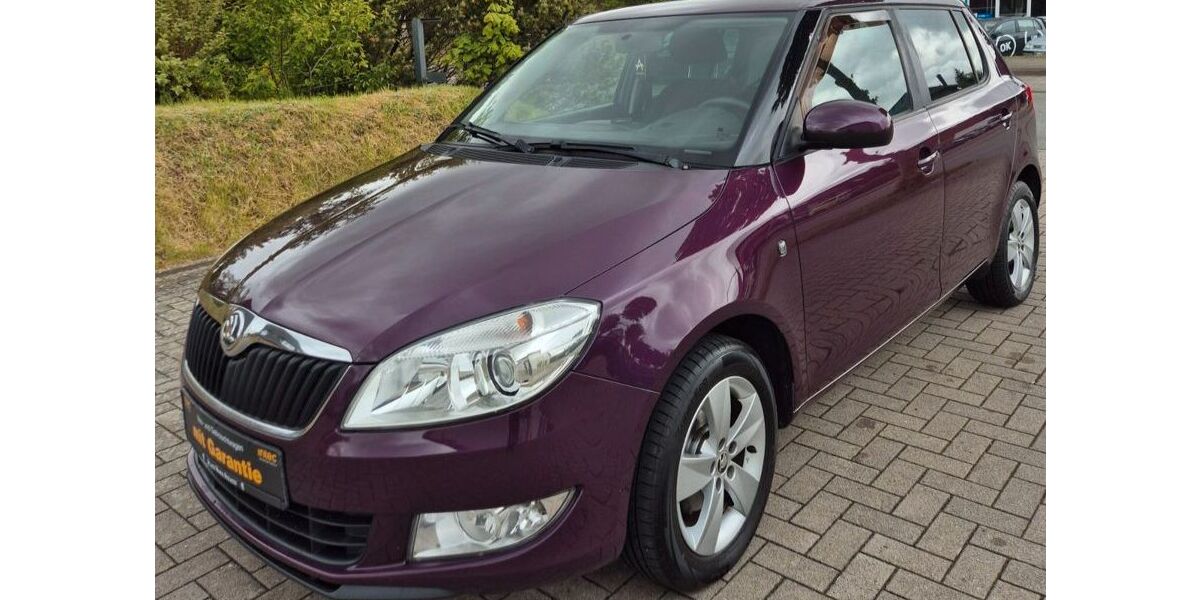Skoda Fabia 123.600 km 4.499 &euro; HUSUM 25813
