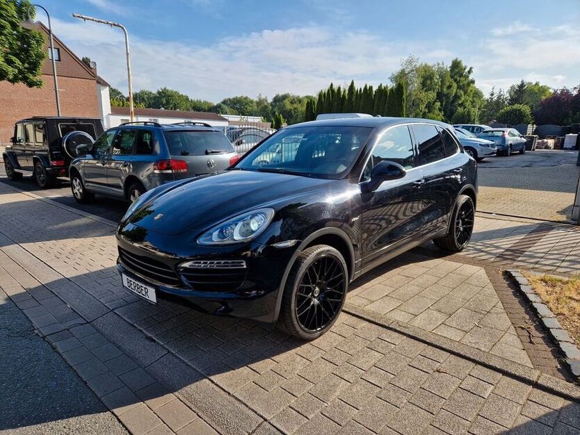 Cayenne