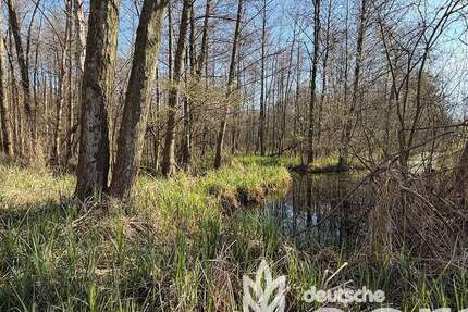 Grundstück Lübbenau/Spreewald / Leipe Leipe - 7.900&euro; | Angebot:26483784
