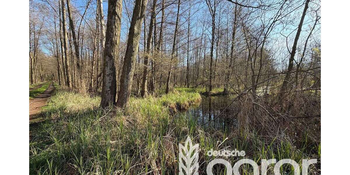 Grundstück Lübbenau/Spreewald / Leipe Leipe - 7.900&euro; | Angebot:26483784