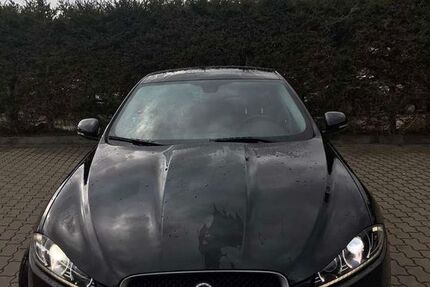 Jaguar XF 230.123 km 8.499 &euro; Marktredwitz 95615