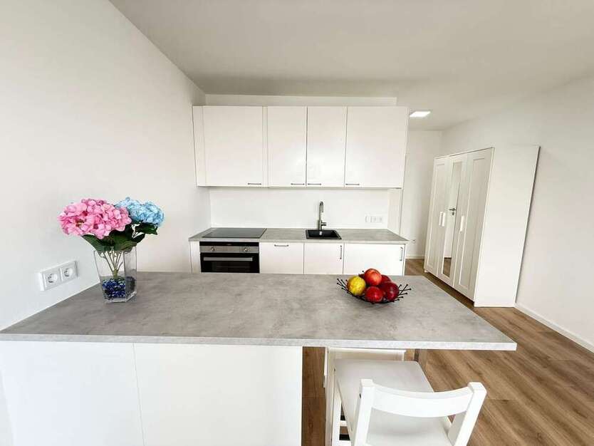 Wohnung zum Mieten in München 1.200 € 30 m²