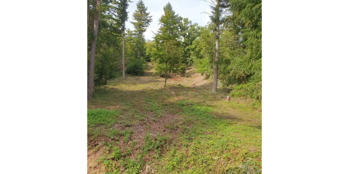 Grundstück Kieselbronn - 48.000&euro; | Angebot:23035089