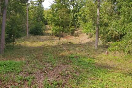 Kieselbronn Freizeitgrundstück 