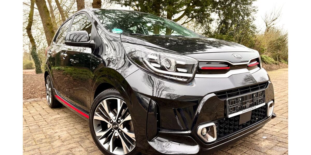 Kia Picanto 14.000 km 14.900 &euro; Cloppenburg 49661