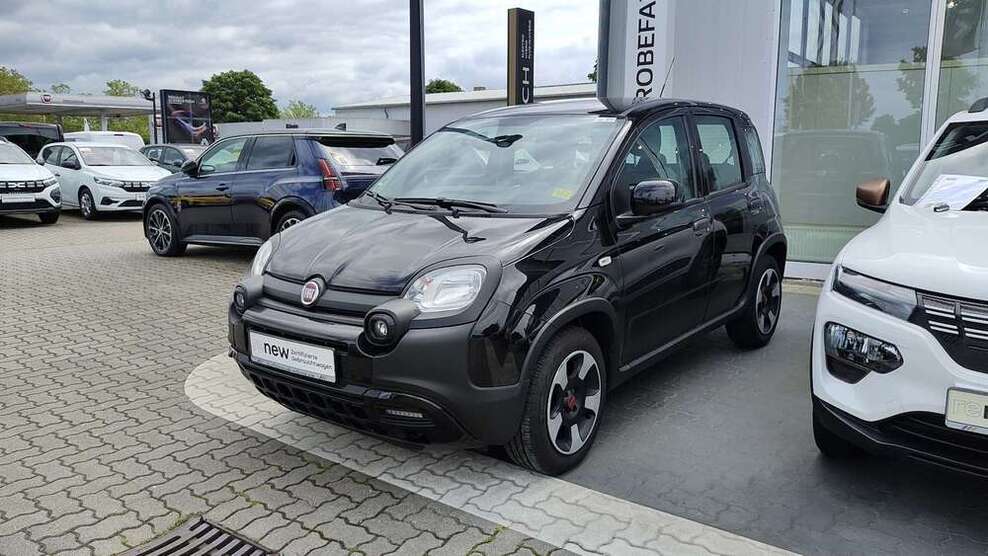Panda