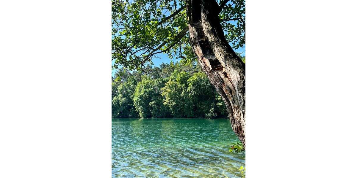 Einfamilienhaus Feldberger Seenlandschaft - 3.5 Zimmer, 90 m&sup2;, 335.000&euro; | Angebot:25158914