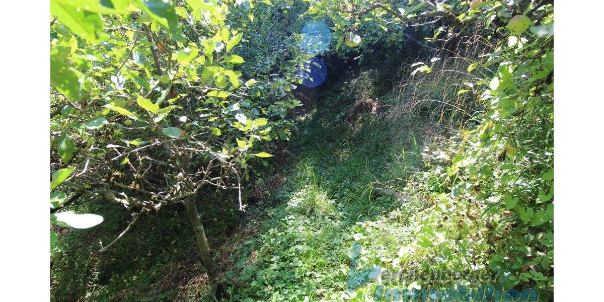 Grundstück Landau an der Isar / Poldering Poldering - 65.000&euro; | Angebot:25684674