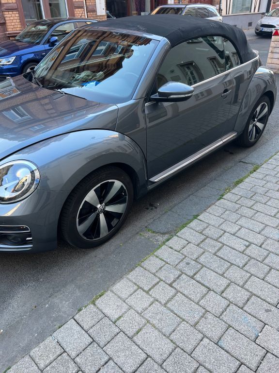 Beetle