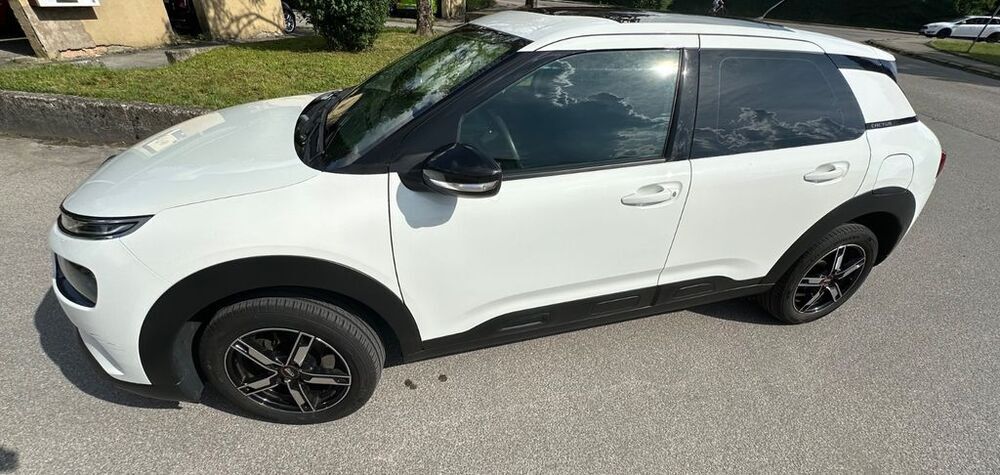 C4 Cactus