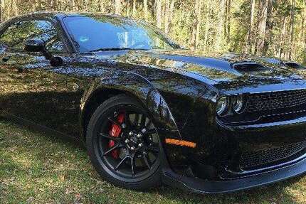 Dodge Challenger 8.200 km 108.000 &euro; Schwarzheide, Stadt 01987