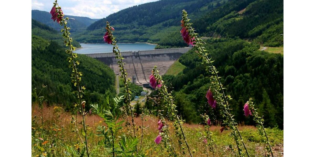 Wohnung Singlewohnung in UnterweißbachThür. 2 zimmer