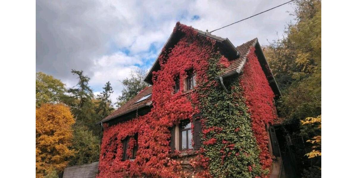 Einfamilienhaus in der Natur 4 zimmer