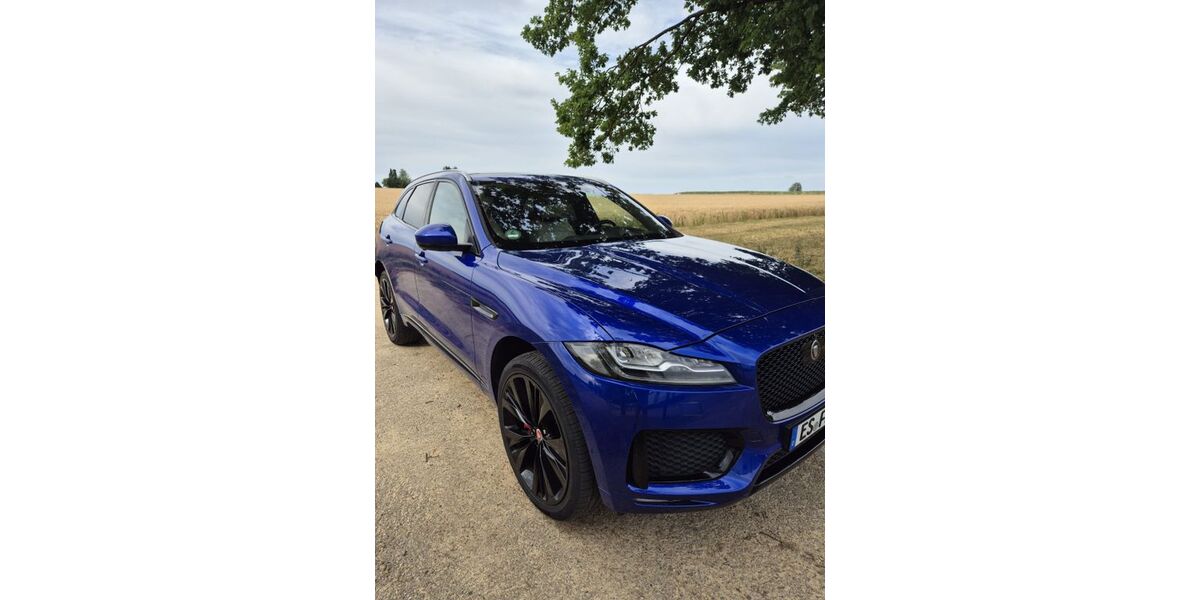 Jaguar F-Pace 63.000 km 27.700 &euro; Neuhausen a.d.F. 73765