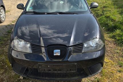 Seat Ibiza 170.000 km 1.000 &euro; Ferschweiler 54668