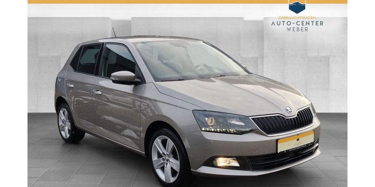 Skoda Fabia 50.292 km 10.390 &euro; Markkleeberg 04416