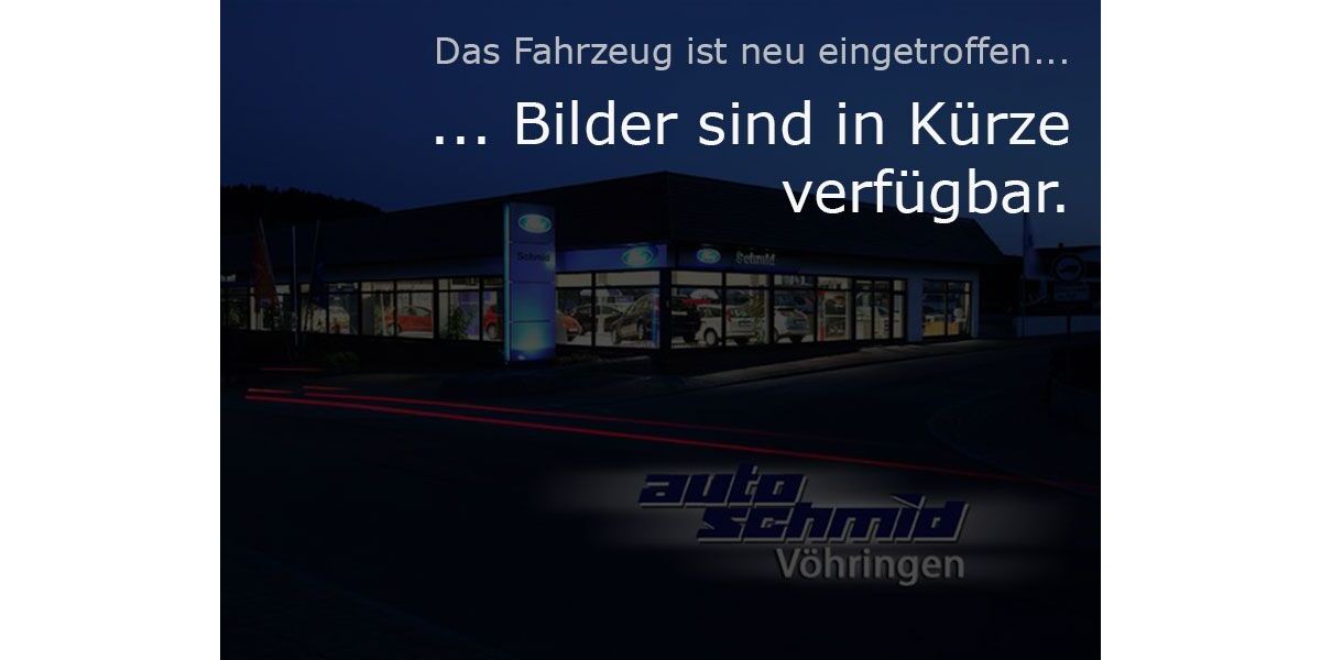 Ford Transit 19.000 km 33.330 &euro; Vöhringen 72189