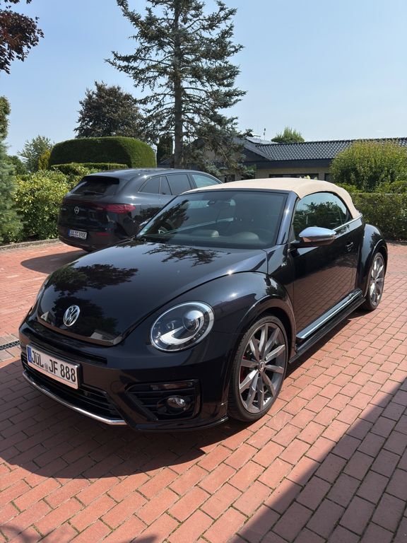 Beetle