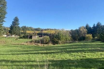 Ländlich gelegenes Baugrundstück für ein Einfamilienhaus in Niederau zimmer