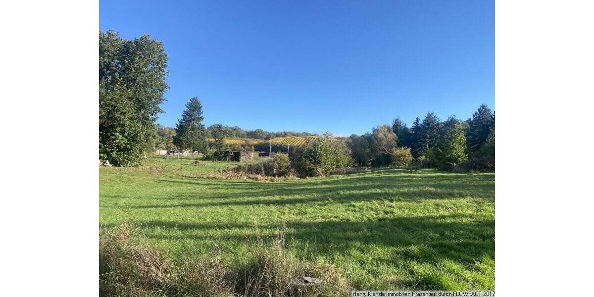 Ländlich gelegenes Baugrundstück für ein Einfamilienhaus in Niederau zimmer