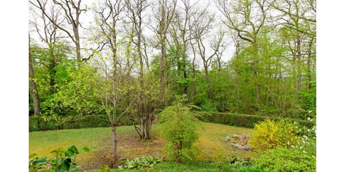 Trier-Feyen - Großzügiges freistehendes Wohnhaus in individueller Lage mit viel Grün - Einfamilienhaus Trier Feyen-Weismark | Angebot:26441155