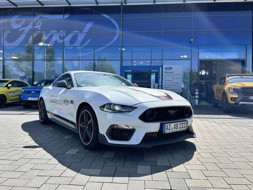 Mustang