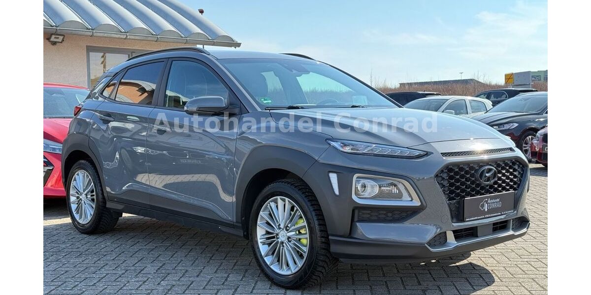 Hyundai KONA 93.100 km 14.900 &euro; Kirchheimbolanden 67292