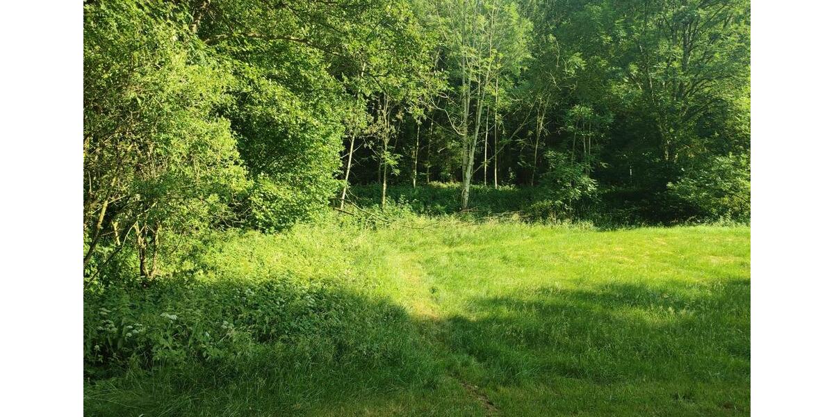 Bauernhaus, Landhaus Thalmässing - 10 Zimmer, 200 m&sup2;, 390.000&euro; | Angebot:26975377