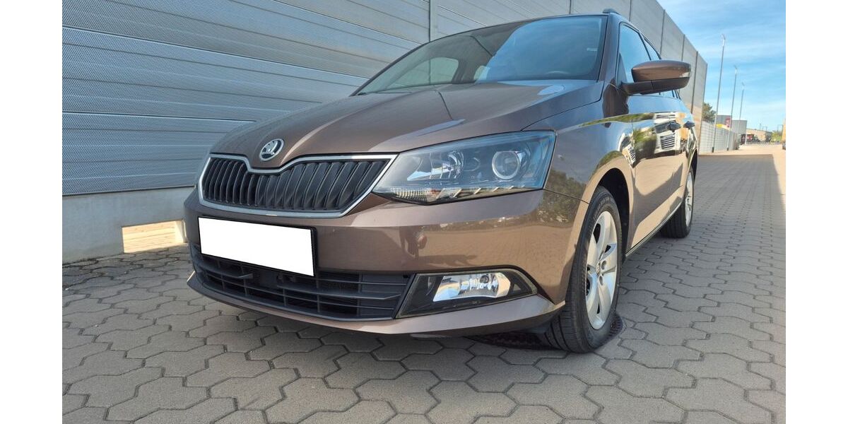 Skoda Fabia 66.345 km 12.490 &euro; Nürnberg 90461