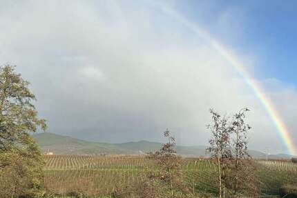 Grundstück zu verkaufen in Edesheim 245.000 € 411 m² zimmer