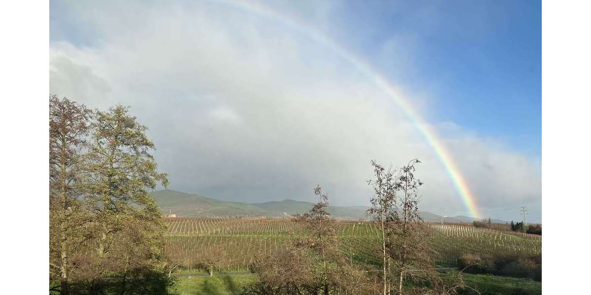 Grundstück zu verkaufen in Edesheim 245.000 € 411 m² zimmer