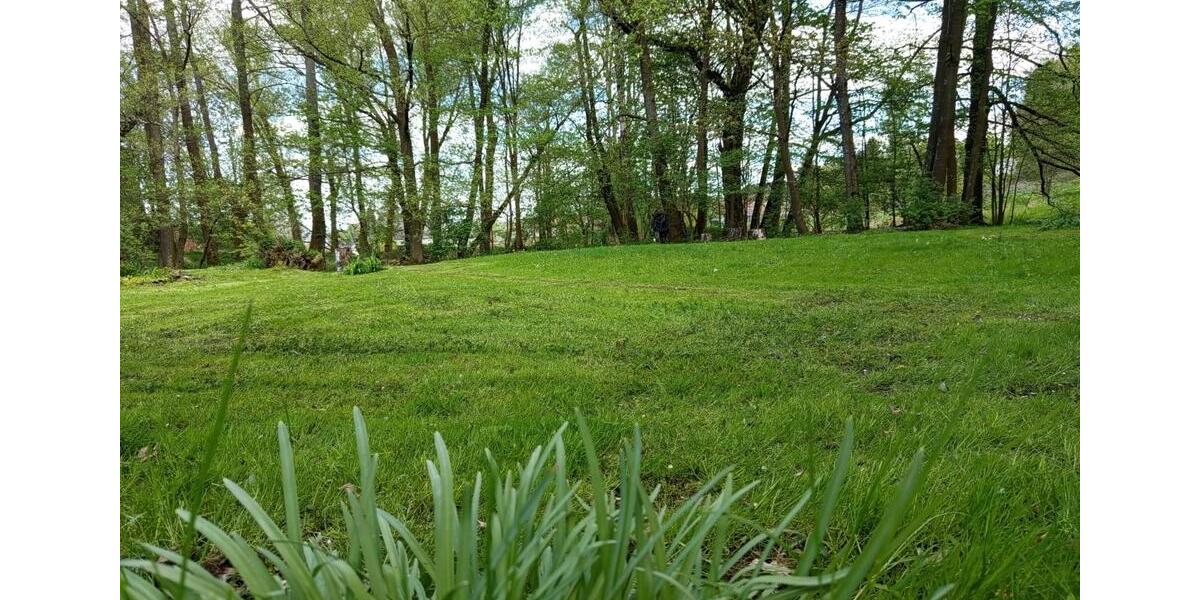 Einfamilienhaus Waldsassen - 220.000&euro; | Angebot:25806012