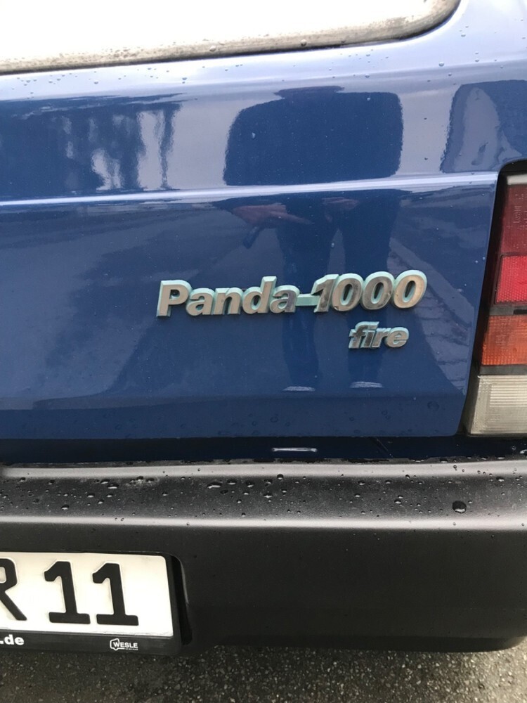 Panda