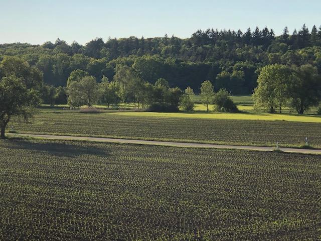 Gewerbeobjekt Leonberg - 775&euro; | Angebot:25423700