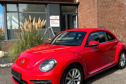 VW Beetle