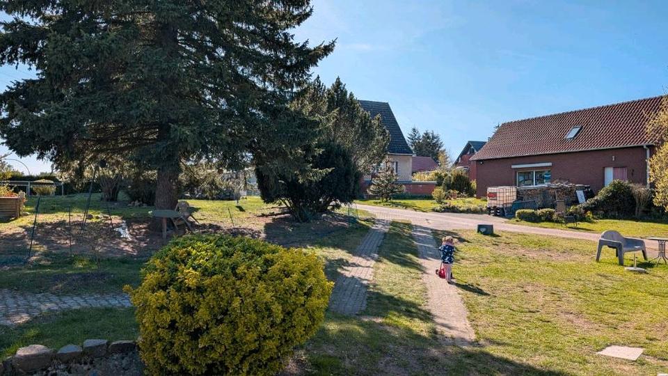 Einfamilienhaus Mirow - 350.000&euro; | Angebot:26302357