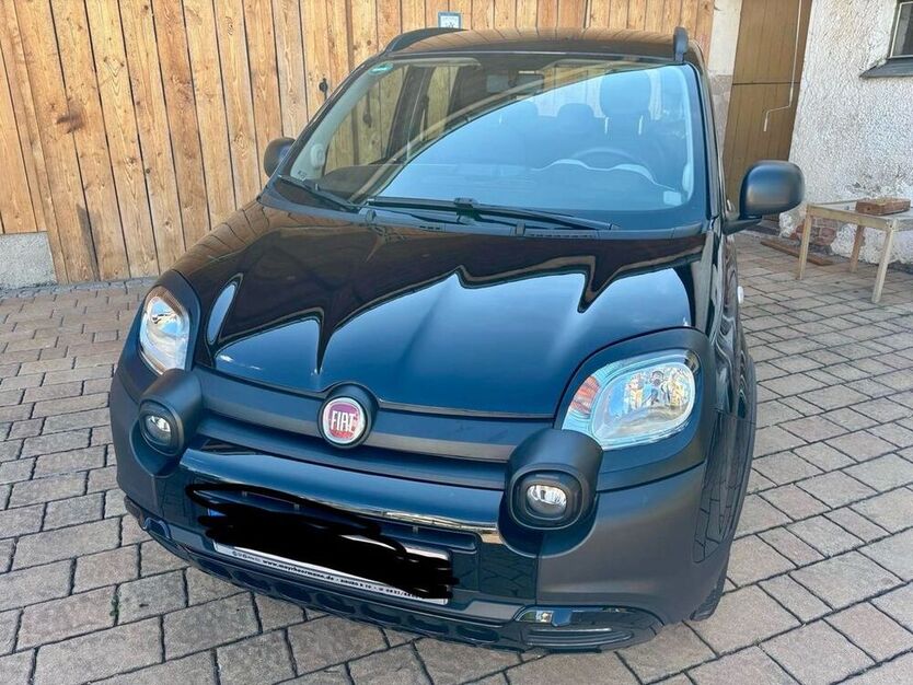 Panda
