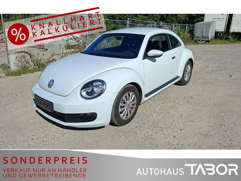 Beetle