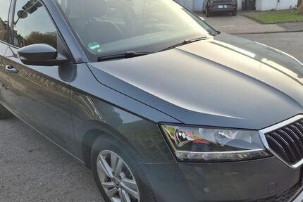 Skoda Fabia 8.000 km 15.800 &euro; Duisburg 47169