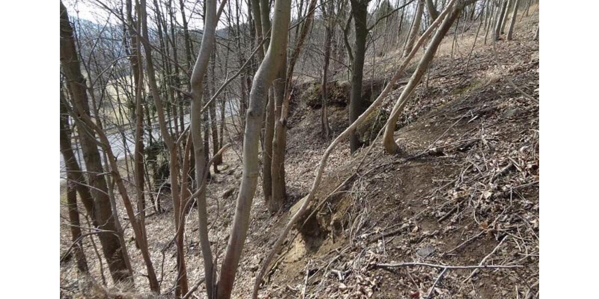 Grundstück Unterwellenborn Goßwitz - 1.000&euro; | Angebot:20494062