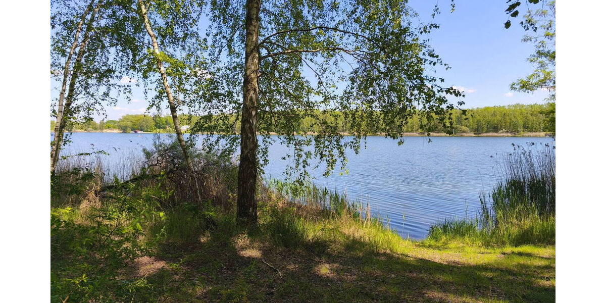 Reihenmittelhaus Zschornewitz Zschornewitz - 4 Zimmer, 88 m&sup2;, 111.000&euro; | Angebot:26739272