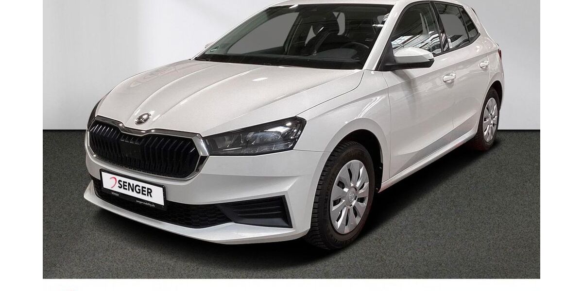 Skoda Fabia 29.480 km 18.880 &euro; Emsdetten 48282